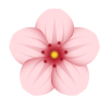 پزشکی زیبایی