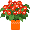 گل و کادوئی