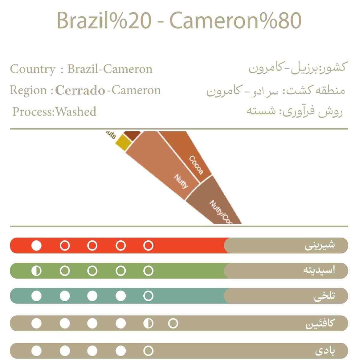 برزیل20%کامرون80%
