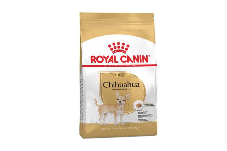 شیهواهوا ادالت ۱٫۵ کیلوگرم ( chihuahua adult )