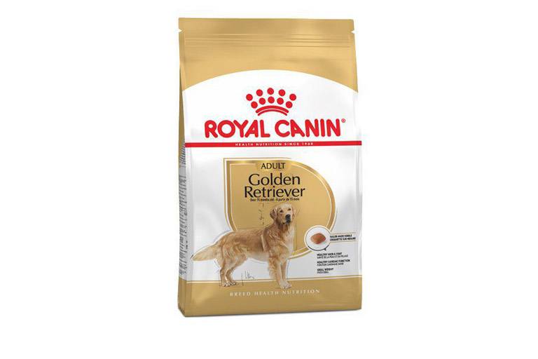 گلدن رتریور ادالت ۱۲ کیلوگرم ( golden retriever ad