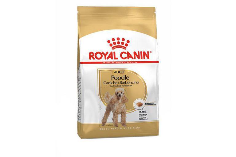 پودل ادالت ۳ کیلوگرم ( poodle adult )