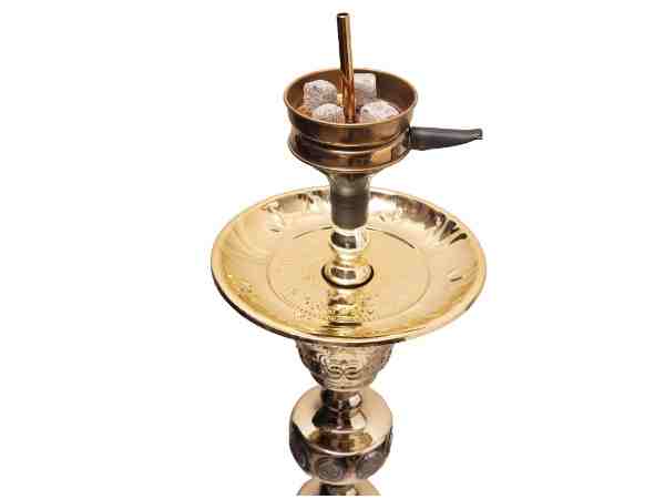 ویژه حیاتخانه