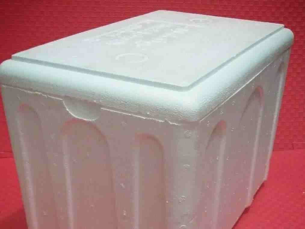 یخدان 5 کیلویی